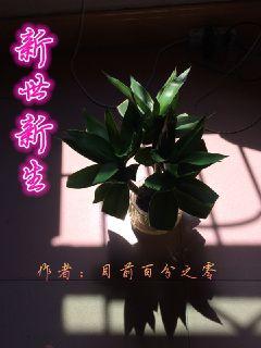 �������ɽ��,����Ů����������������籾ȫ������Ķ�