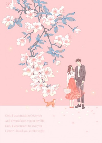 ���أ������ţ�����͵����������ȫ������Ķ�