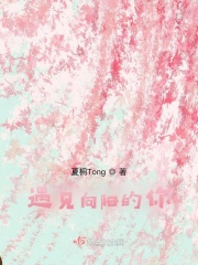 ������������ȫ������Ķ�