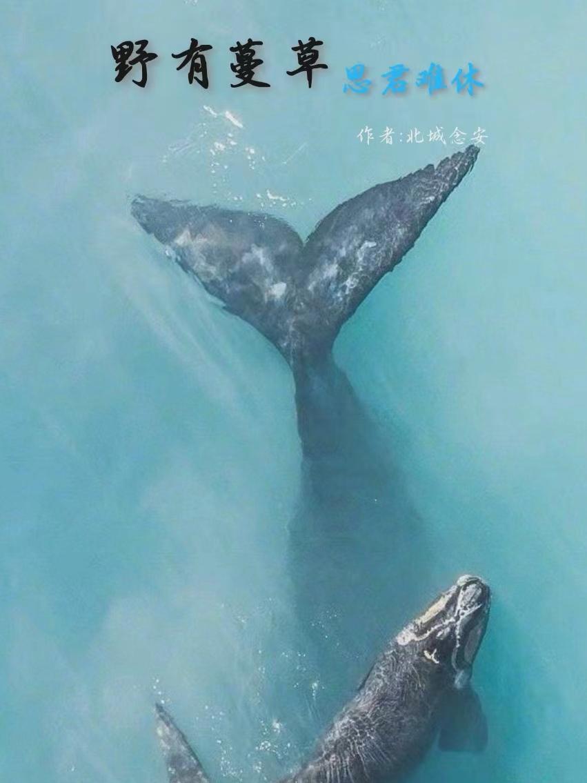 Ұ�����ݣ�˼������ȫ������Ķ�