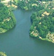 �ϰ����Ҵ�ʮ��Ů����ѡһ������������Ӱȫ������Ķ�