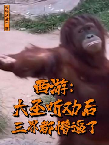 西游:大圣听劝后,三界都懵逼了全文免费阅读