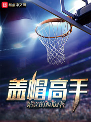 全职业巨星:从开网约车开始全文免费阅读