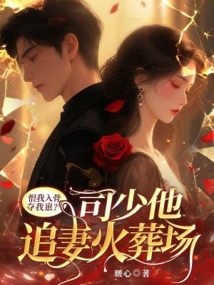 恨我入骨夺我崽?司少他追妻火葬场!全文免费阅读