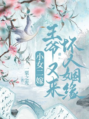 小女二嫁,王爷又来坏人姻缘全文免费阅读