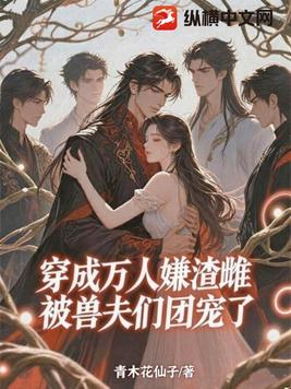 �������������ƣ����޷����ų���ȫ������Ķ�