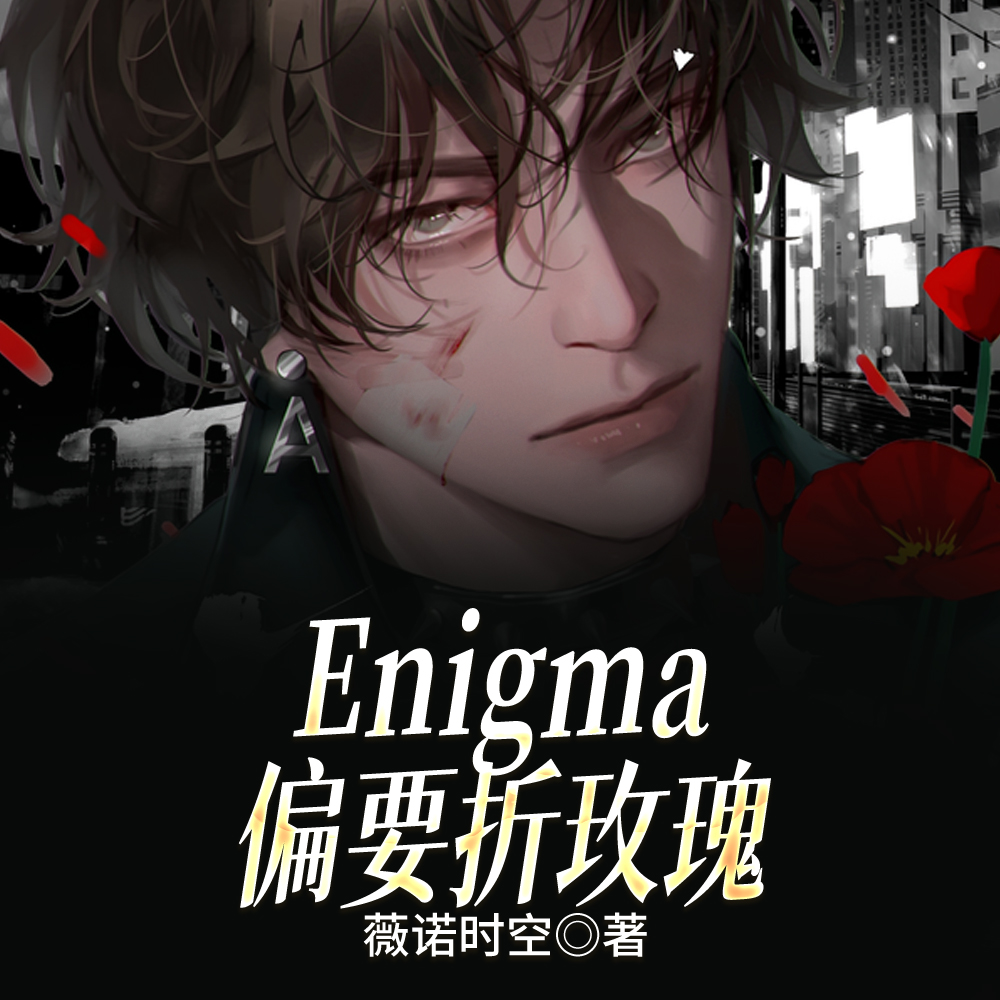 EnigmaƫҪ��õ��ȫ������Ķ�