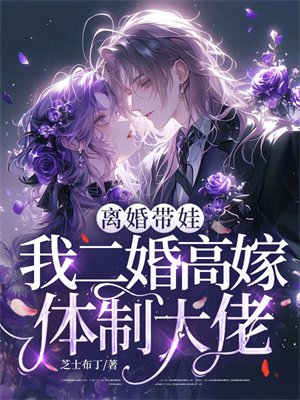 离婚带娃,我二婚高嫁体制大佬全文免费阅读