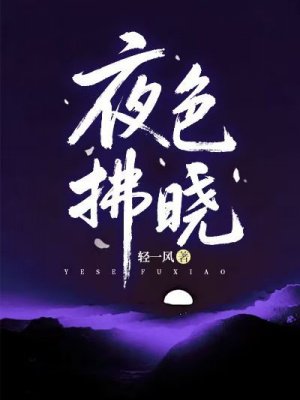 ҹɫ����ȫ������Ķ�